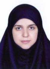 مریم برهمن