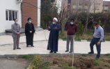 برگزاری مراسم روز درختکاری در دانشکده الهیات و معارف اسلامی