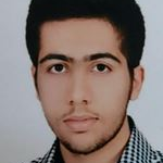 محمدحسین زرنوشه فراهانی